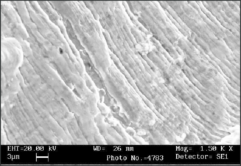 Case Study Image