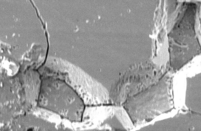 Case Study Image