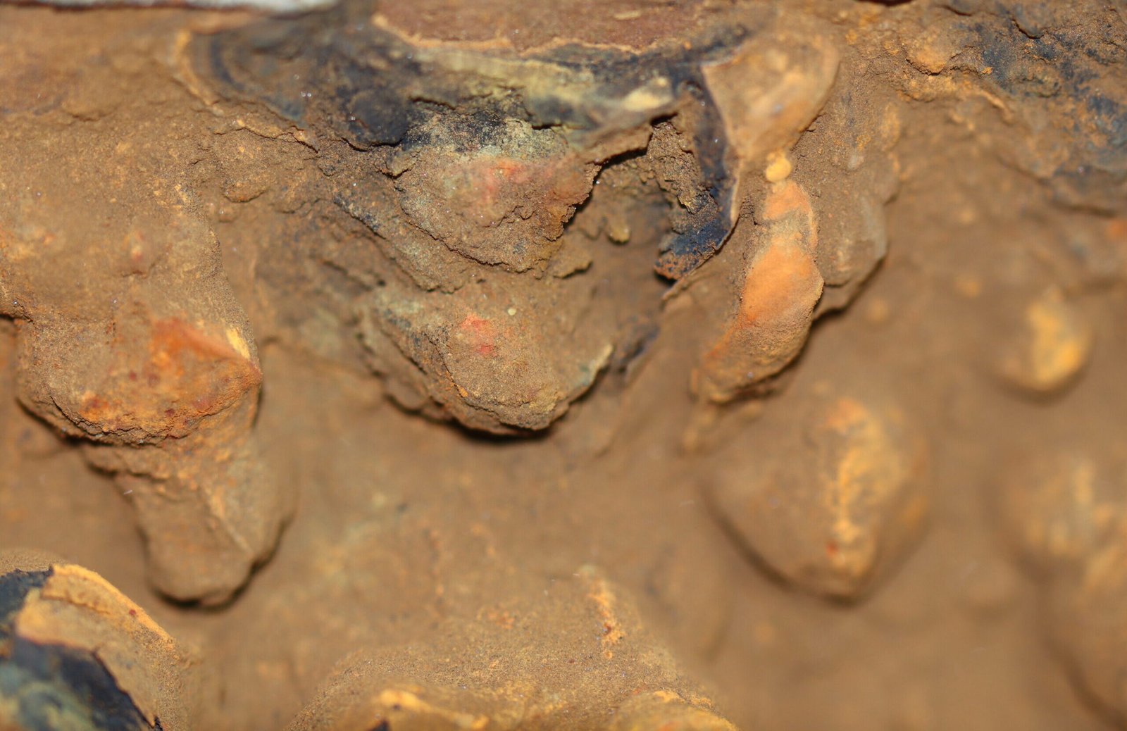 Case Study Image