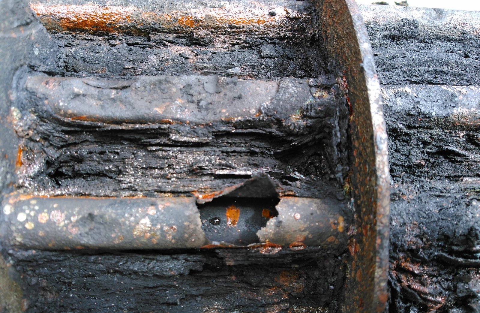 Case Study Image